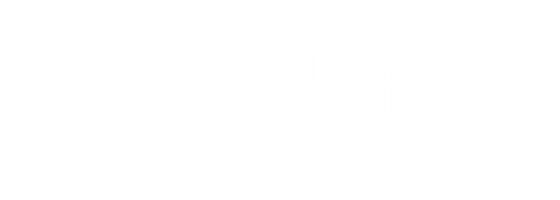 retina-bibi_site_branco_horizontal